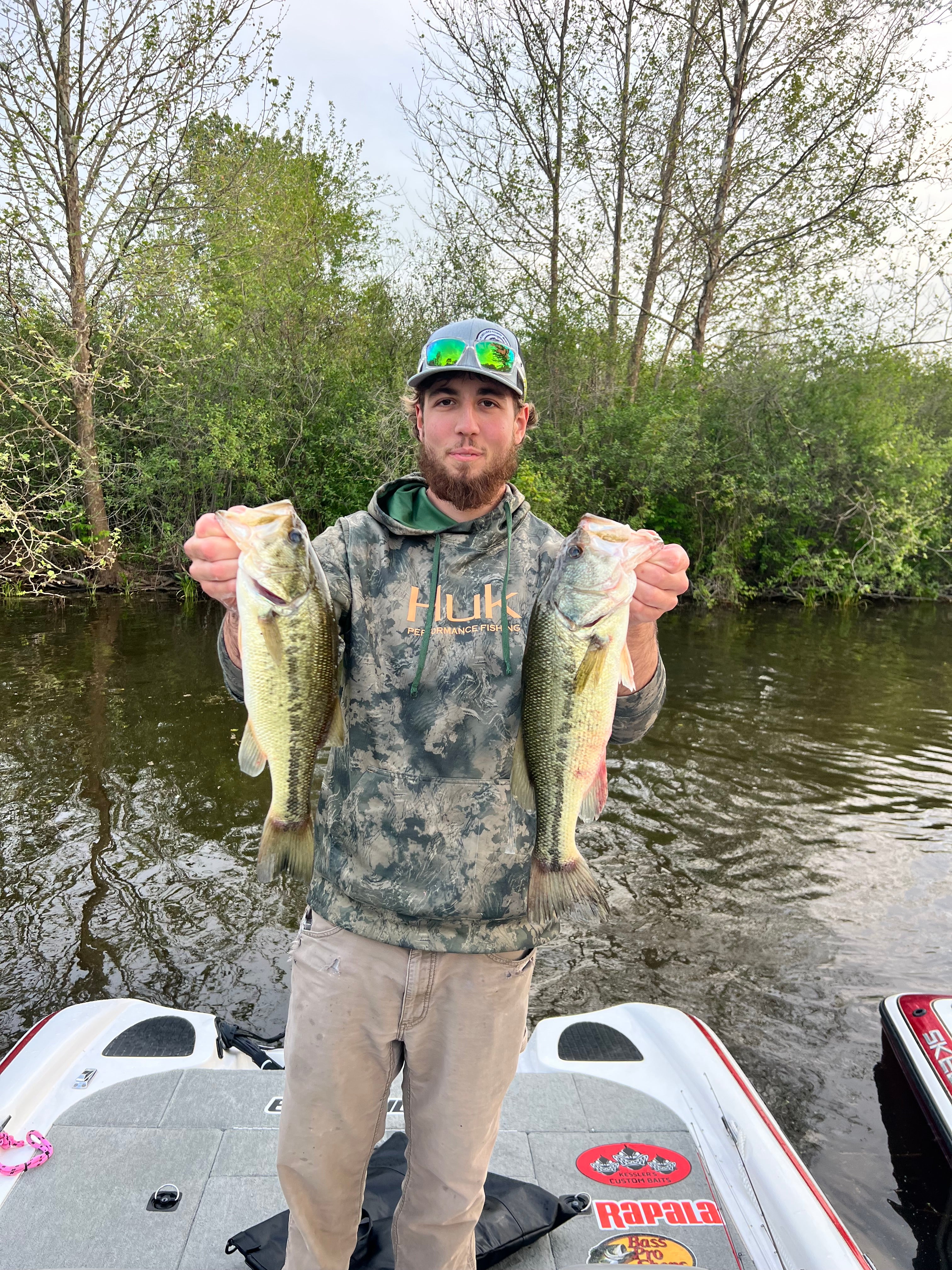 Golden Shiner
